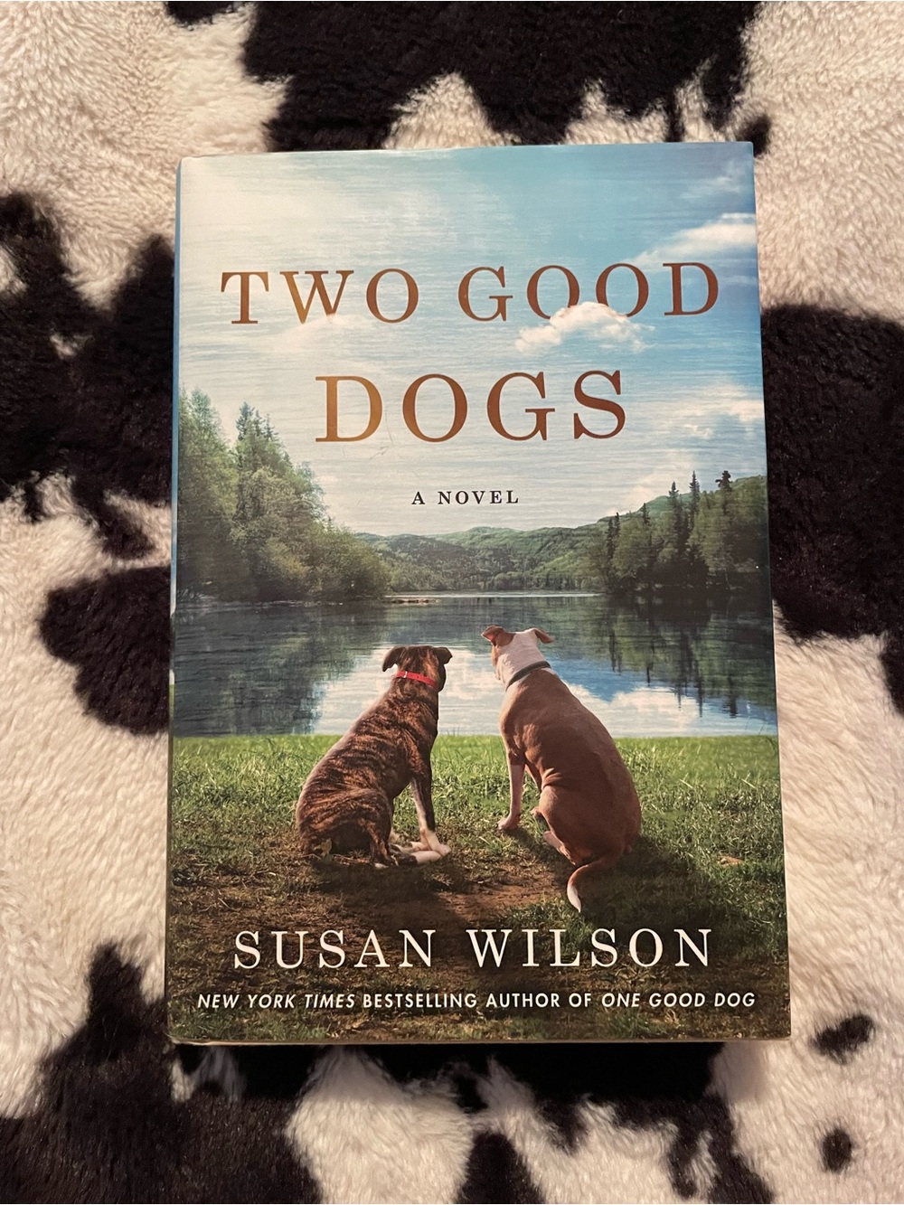 Two Good Dogs by Susan Wilson Hardback Book